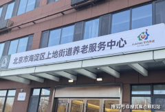 <b>复古粉饰取保守纹样</b>